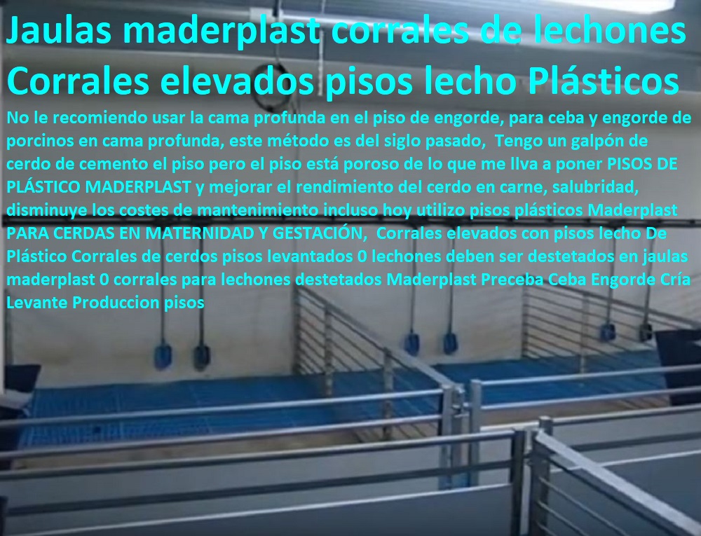 Corrales elevados con pisos lecho De Plástico Corrales de cerdos pisos levantados 0 lechones deben ser destetados en jaulas maderplast 0 corrales para lechones destetados Maderplast Preceba Ceba Engorde Cría Levante Produccion pisos Corrales elevados con pisos lecho De Plástico Corrales de cerdos pisos levantados 0 lechones deben ser destetados en jaulas maderplast 0 corrales para lechones destetados Maderplast pisos jaulas comederos, porcicultura jaulas, corrales, parideras, porcinas corral, gestación cerdas, parto cerda, lechonera, destete, jaula pre ceba porcinos, corraleja, ceba, engorde cerdos, porqueriza cría de lechones, Preceba Ceba Engorde Cría Levante Produccion pisos